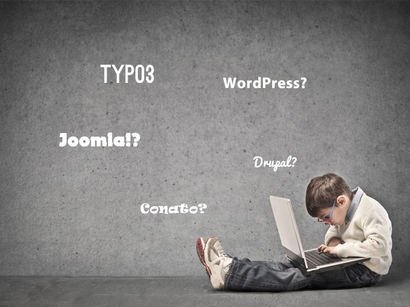 wordpress-contao-typo3-drupal